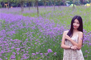 Shanghai New Tea Studio: What changes will the tea drink industry bring in the future? Shanghai New Tea Studio: What changes will the tea drink industry bring in the future?